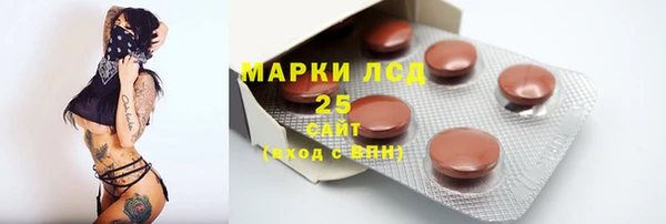 крисы Бронницы
