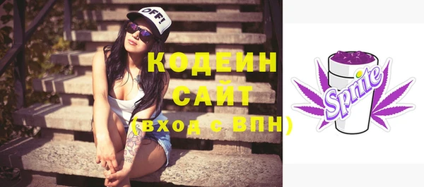 крисы Бронницы