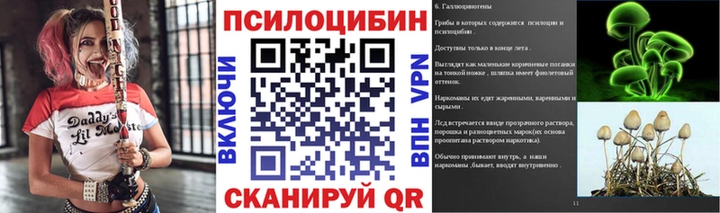 Галлюциногенные грибы Psilocybine cubensis  Гусев 