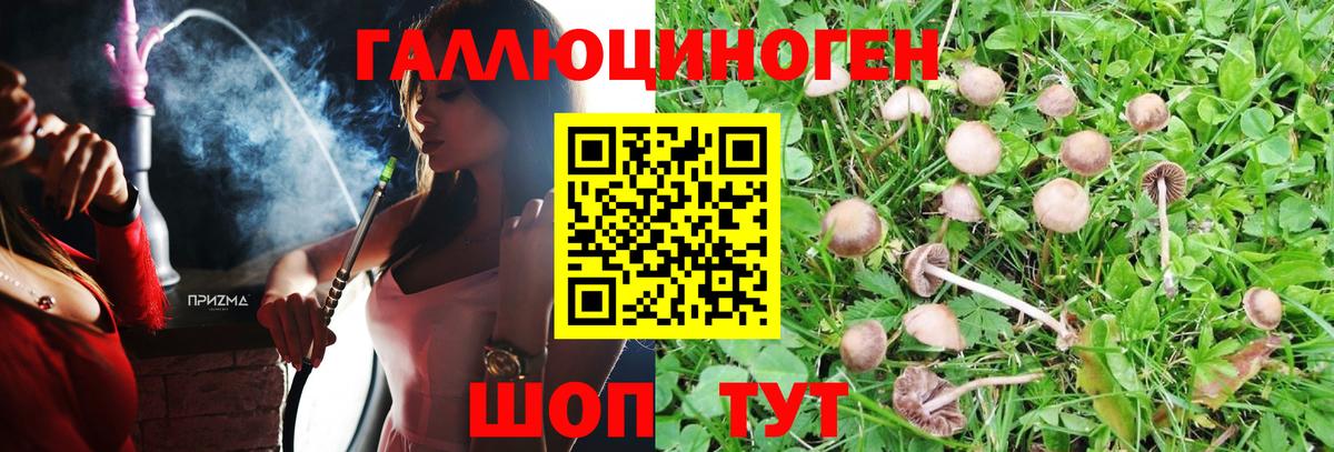 Псилоцибиновые грибы Psilocybine cubensis  Вход с VPN  где купить наркоту  Гусев 