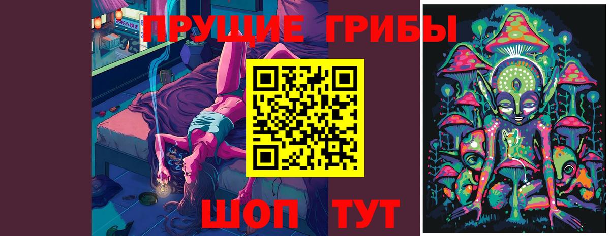 Галлюциногенные грибы Psilocybe Гусев